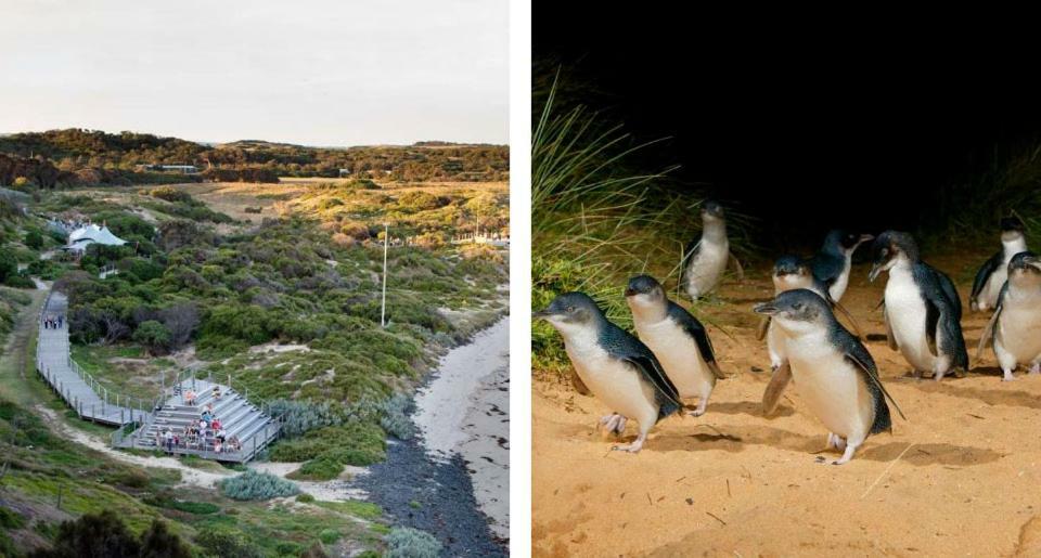 The Grampian Phillip Island Villa Cowes Luaran gambar